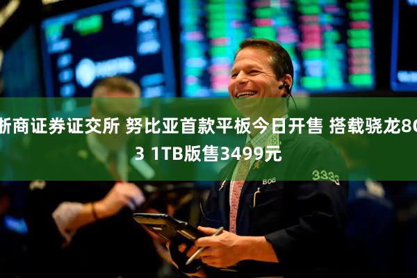 浙商证券证交所 努比亚首款平板今日开售 搭载骁龙8G3 1TB版售3499元
