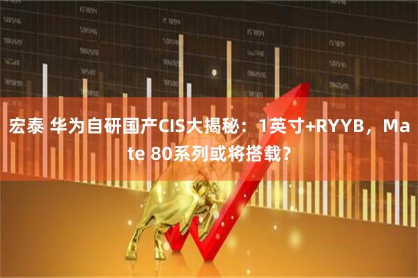 宏泰 华为自研国产CIS大揭秘：1英寸+RYYB，Mate 80系列或将搭载？