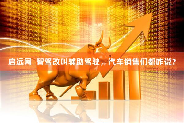 启远网  智驾改叫辅助驾驶，汽车销售们都咋说？