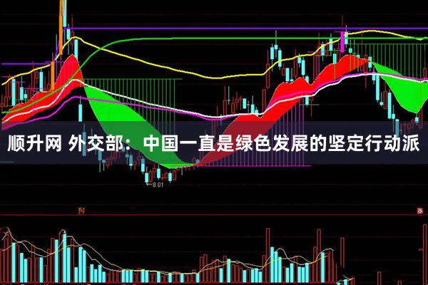 顺升网 外交部：中国一直是绿色发展的坚定行动派