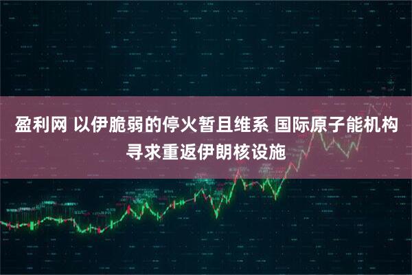 盈利网 以伊脆弱的停火暂且维系 国际原子能机构寻求重返伊朗核设施