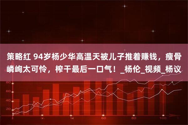 策略红 94岁杨少华高温天被儿子推着赚钱，瘦骨嶙峋太可怜，榨干最后一口气！_杨伦_视频_杨议