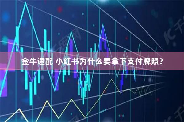 金牛速配 小红书为什么要拿下支付牌照？