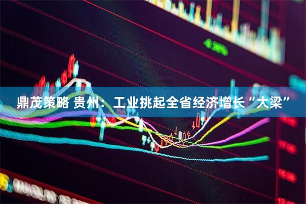 鼎茂策略 贵州：工业挑起全省经济增长“大梁”