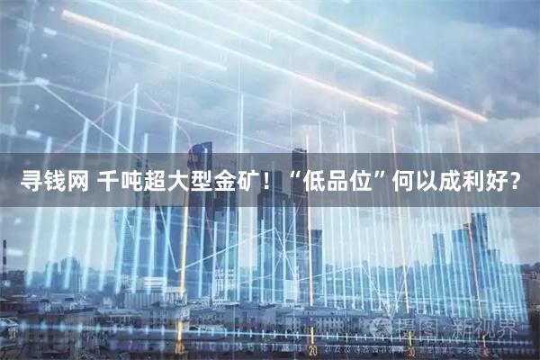 寻钱网 千吨超大型金矿！“低品位”何以成利好？