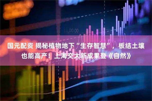 国元配资 揭秘植物地下“生存智慧”，板结土壤也能高产！上海交大新成果登《自然》