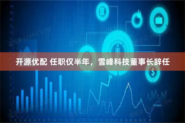 开源优配 任职仅半年，雪峰科技董事长辞任