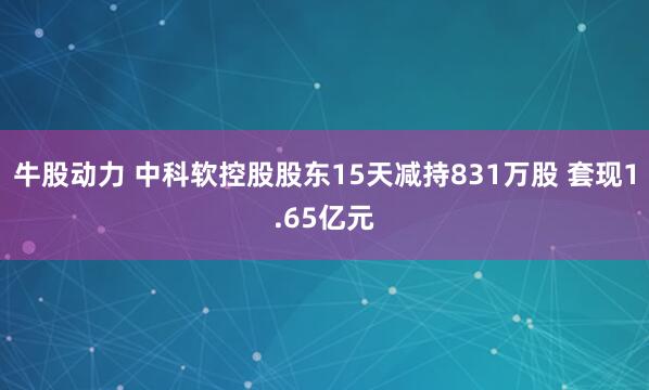 牛股动力 中科软控股股东15天减持831万股 套现1.65亿元