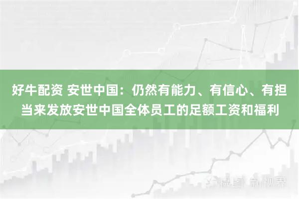 好牛配资 安世中国：仍然有能力、有信心、有担当来发放安世中国全体员工的足额工资和福利