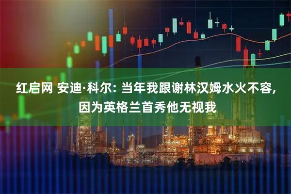红启网 安迪·科尔: 当年我跟谢林汉姆水火不容, 因为英格兰首秀他无视我