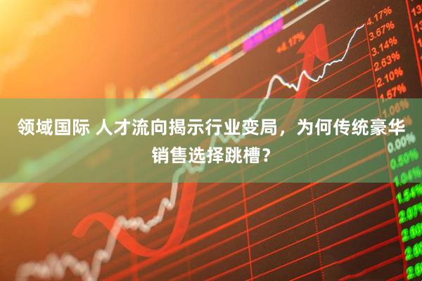 领域国际 人才流向揭示行业变局，为何传统豪华销售选择跳槽？
